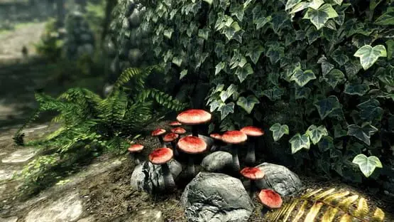 次のゲームプレイ画像を含みます: 画像のスクリーンショット The Elder Scrolls V: Skyrim - Special Edition