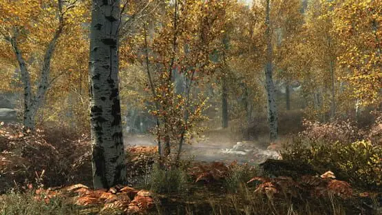 次のゲームプレイ画像を含みます: 画像のスクリーンショット The Elder Scrolls V: Skyrim - Special Edition