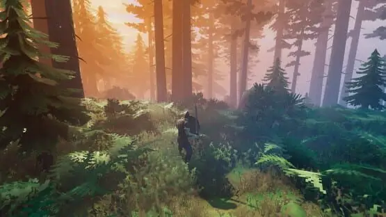 This contains a gameplay image of the game: Screenshot of Valheim