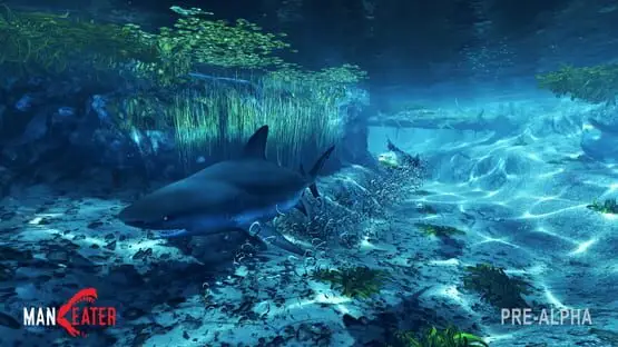 Ceci contient une image de gameplay du jeu : Capture d'écran de Maneater
