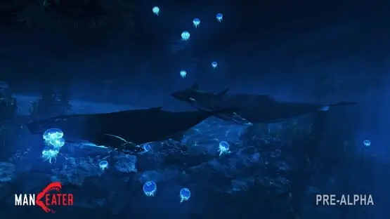 Ceci contient une image de gameplay du jeu : Capture d'écran de Maneater