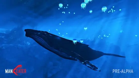 Ceci contient une image de gameplay du jeu : Capture d'écran de Maneater