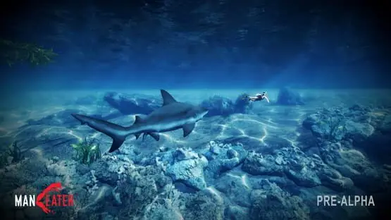 Ceci contient une image de gameplay du jeu : Capture d'écran de Maneater