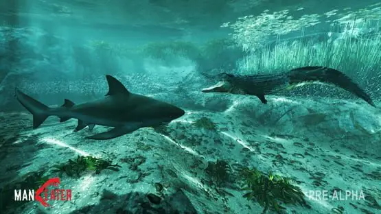 Ceci contient une image de gameplay du jeu : Capture d'écran de Maneater
