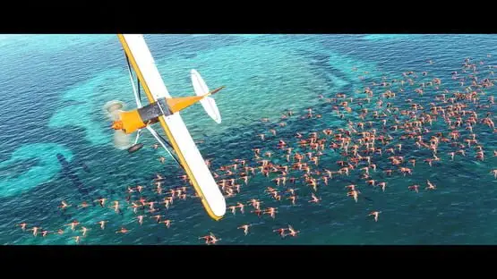 Hier ist ein Gameplay-Bild des Spiels:Screenshot von Microsoft Flight Simulator