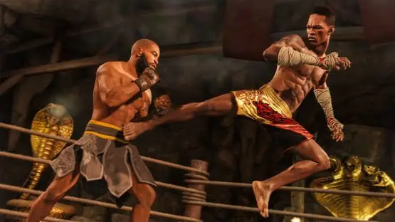 This contains a gameplay image of the game: Screenshot of EA Sports UFC 4