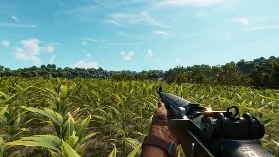 Ceci contient une image de gameplay du jeu : Capture d'écran de Far Cry 6