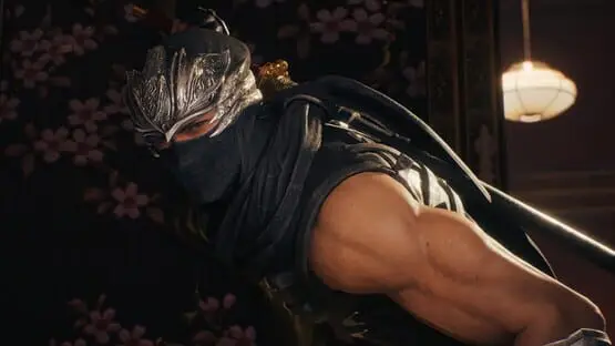 Hier ist ein Gameplay-Bild des Spiels:Screenshot von Ninja Gaiden II Black