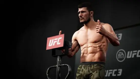This contains a gameplay image of the game: Screenshot of EA Sports UFC 3